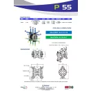 Fluimac Phoenix 55 l/perces alumíniumházas membránszivattyú olajos közeghez