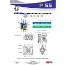 Fluimac Phoenix 55 l/perces műanyagházas teflonmembrános membránszivattyú ATEX Zóna1-be