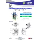 Fluimac Phoenix 120 l/perces rozsdamentes acél teflonmembrános membránszivattyú ATEX Zóna1-be