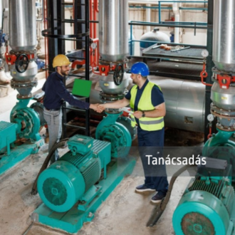 Szakmai tanácsadás, Projektmenedzsment